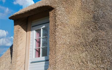 Trecenydd thatch roof disadvantages